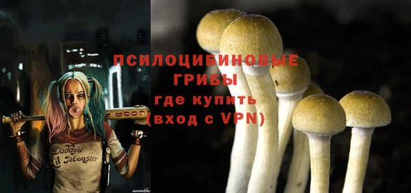 стафф Аркадак