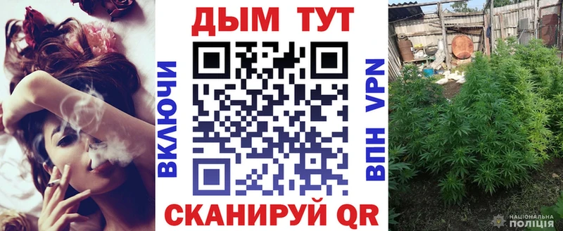 Купить где  Всеволожск  Бошки марихуана план 